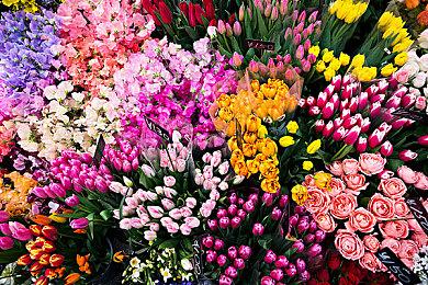 国产恐怖叙述游戏《吃香》定档预告 11月17日发售